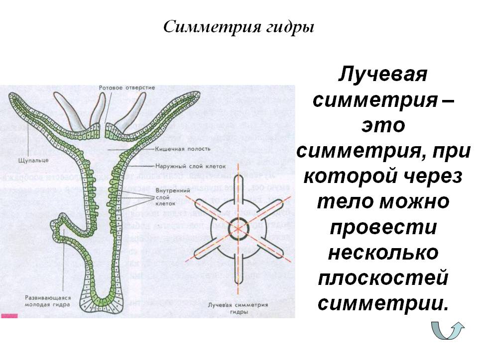 Кракен сайт 18at