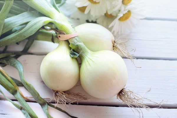Kraken рабочая ссылка onion