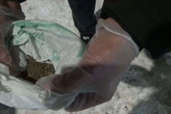 Что такое кракен сайт