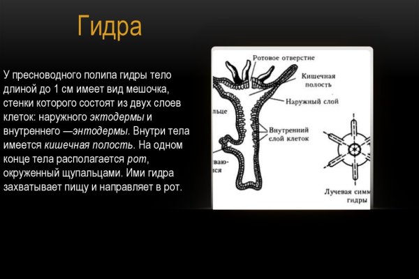 Кракен тор ссылка сегодня