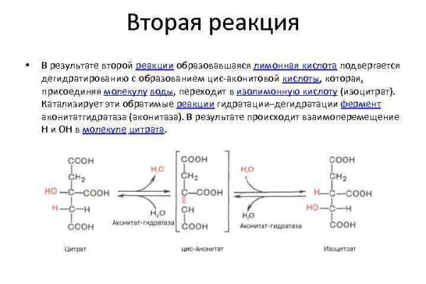 Кракен даркнет kraken014 com