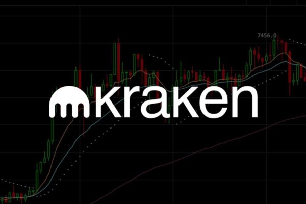Kraken 24 top
