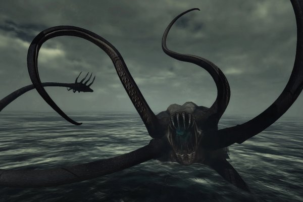 Kraken url
