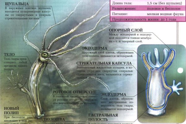 Кракен сайт маркетплейс ссылка