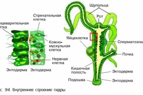 Kraken оригинальная ссылка